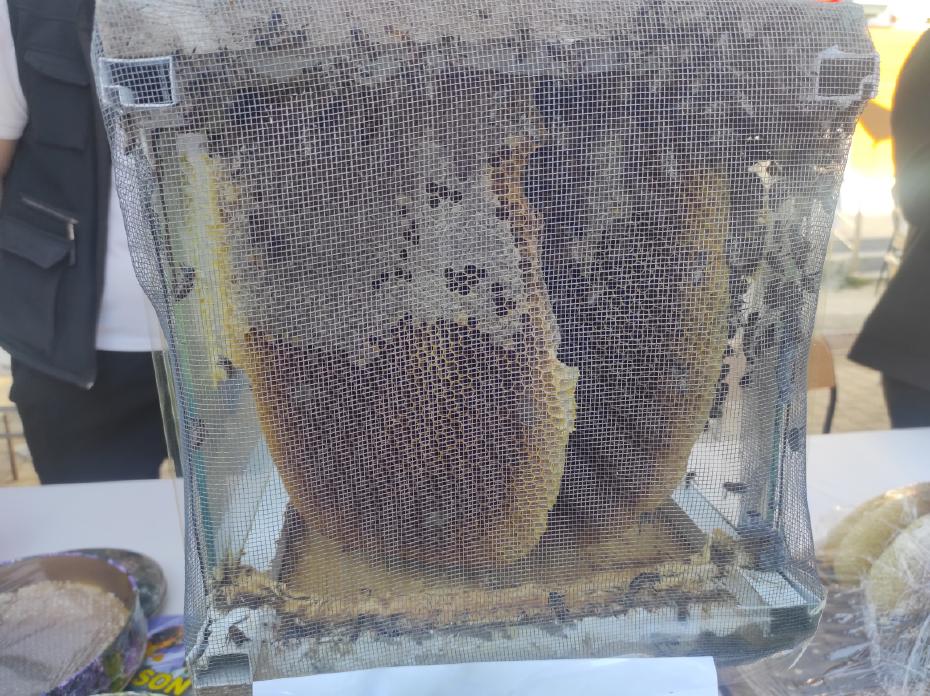 El değmeden üretiliyor, 1 kilogramı 400 bin liraya satıldı