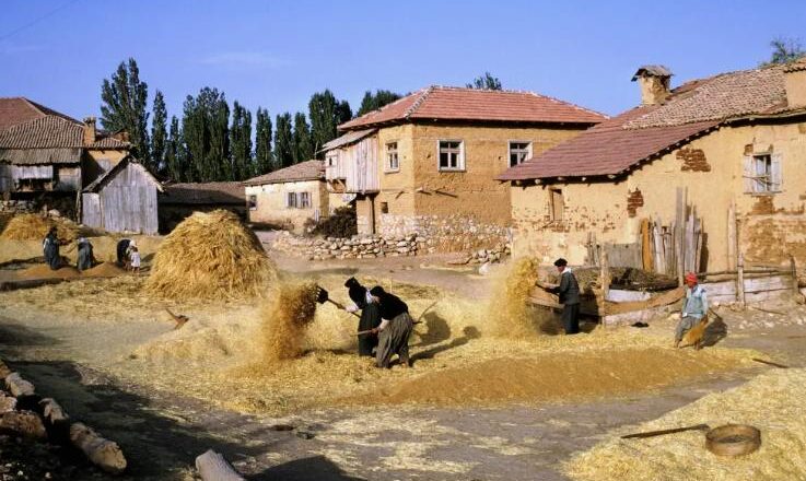 Şehir Hayatı mı Köy Hayatı mı Daha İyi Bir Tercih