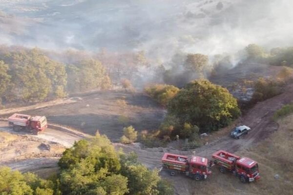 Balıkesir’deki orman yangını kontrol altına alındı