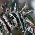 Üreticilere 22,9 milyar lira tarımsal don desteği sağlandı